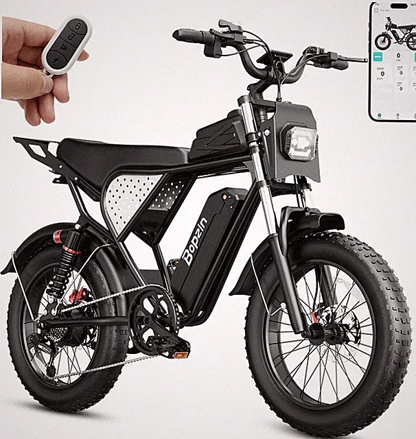 Bopzin 20'' Fat Tire Electric Bike 2000W Peak 48V 20Ah All-terrain Mountain Bike